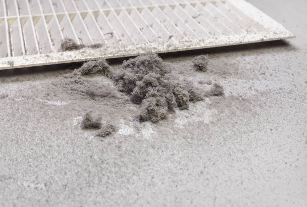 Affordable HVAC Duct Cleaning in IL