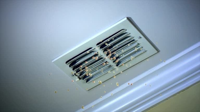 Best Emergency Air Duct Cleaning  in Norris City, IL