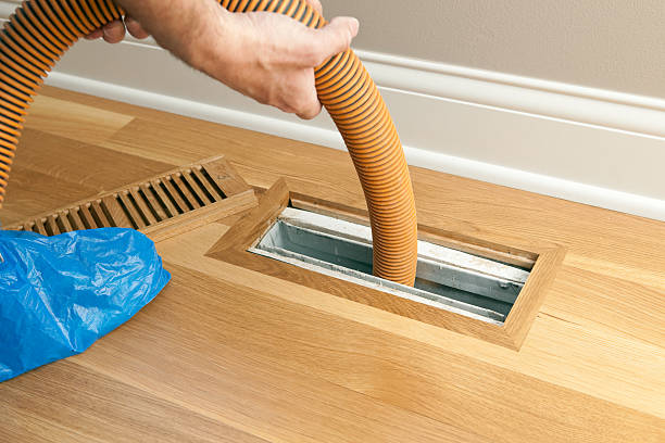 Best Dryer Vent Cleaning Services  in Norris City, IL