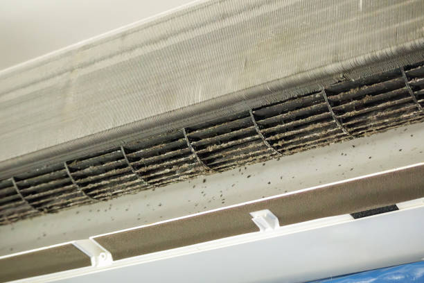 Best Affordable Air Duct Cleaning  in Norris City, IL