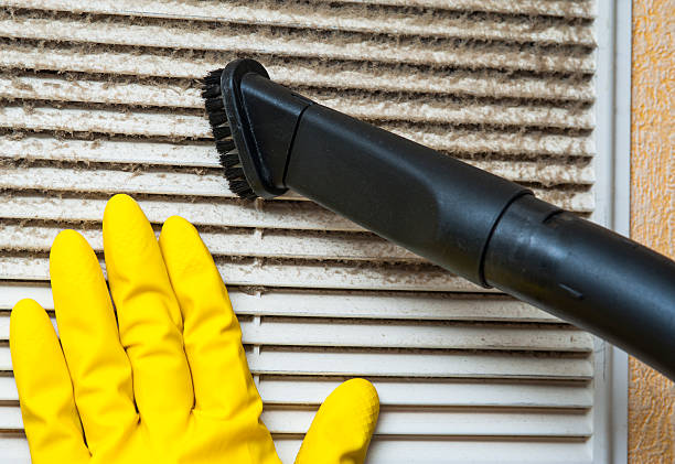 Best Dryer Vent Cleaning Services  in Norris City, IL